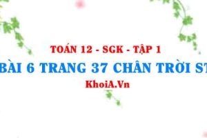 Bài 6 trang 37 Toán 12 Tập 1 Chân trời sáng tạo